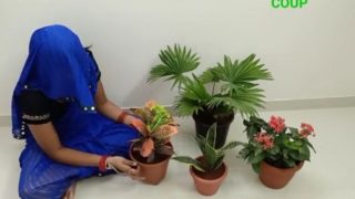 Doggy style fucking of hot desi saleswoman