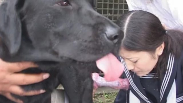 Bhabhi Ki Dog Sex - Domination in Japanese animal XXX movie