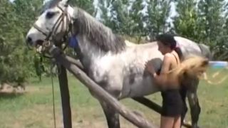 Dreadlocks girl fucks horse
